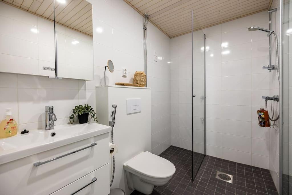 Koda Apartment Taiga Studio, City Center, Free Wi-Fi Ροβανιέμι Εξωτερικό φωτογραφία